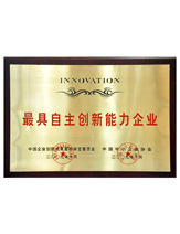 潤(rùn)大世紀(jì)榮獲最具自主創(chuàng)新能力企業(yè)榮譽(yù)證書(shū)，{dede:global.qz_keyword_b/}